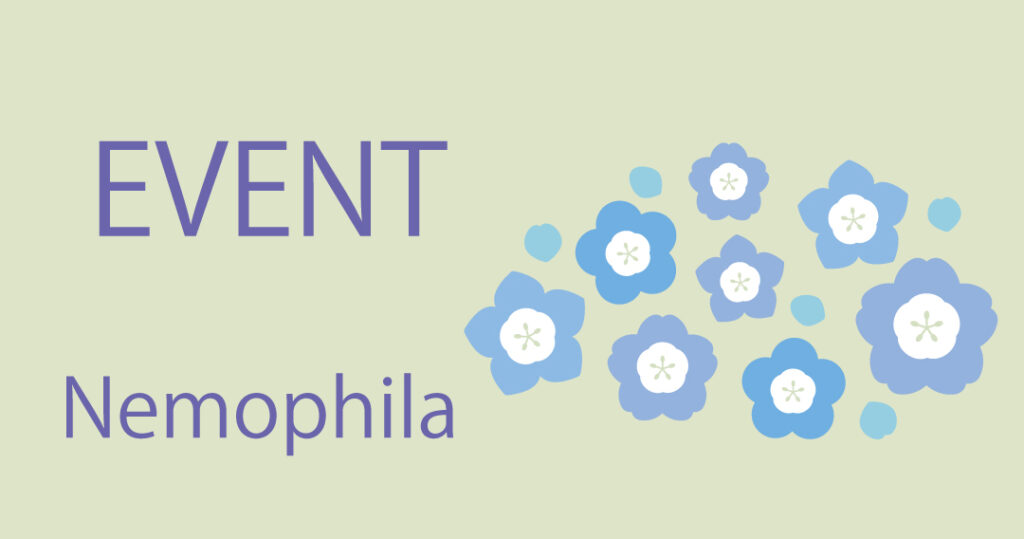 ネモフィラまつり